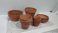 Group shot of all terracotta pots and saucers