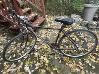 Full left-side view of Gary Fisher Zebrano bicycle on stone patio with leaves