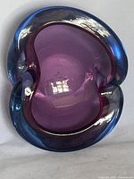 Top view showing lavender core within blue outer layer