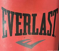 Close-up photo of the red synthetic leather with black Everlast logo printed in block letters on the bag.
