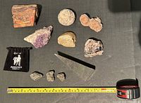 Full view showing ten total specimens including petrified wood, amethyst quartz cluster, gold ore nuggets, fossils and other mineral samples with measuring tape for scale.