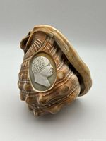 Oblique front view of carved shell showing cameo detail