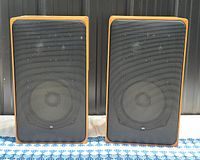 Front view of both speakers side by side