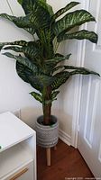 Full view of faux dieffenbachia plant in decorative planter
