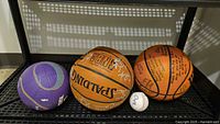 All four balls on shelf: two orange basketballs with signatures, one purple mini basketball, one signed baseball