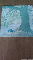 Front cover of John Lennon Plastic Ono Band vinyl showing man leaning against a large tree with a greenish hue.