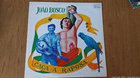 Front cover of João Bosco's 1975 Caça à Raposa vinyl LP showing colorful illustration with two men, a guitar, and a parrot with ribbon banner title.