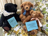 Three Kuddle Buddies bears with certificates on couch