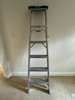 Full front view of Reynolds aluminum ladder