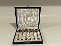 set of six enamel spoons in open case