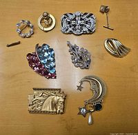 Full view of nine assorted brooches and pins on a wooden surface showing different styles and colors.