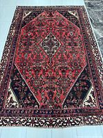 Full view of rug laid flat showing entire medallion pattern and borders