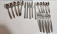 All 20 stainless steel utensils laid out