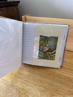 Album open showing kingfisher miniature painting