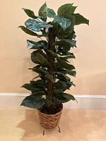 Full view of artificial philodendron-style plant in wicker basket on metal stand