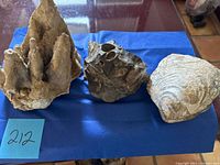 Front view of all three geological specimens on blue cloth