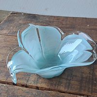 Oblique view showing bowl shape and color gradient