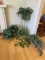 Live Hoya Carnosa plant pot on floor surrounded by four faux plants with trailing and bushy green leaves, near green cylindrical metal plant stand.