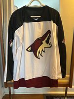 Front view of jersey showing logo, colors, scuff mark