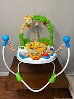 Full view of Fisher-Price jumper with frame and seat
