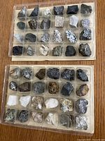 Two plastic trays each containing 24 rock samples