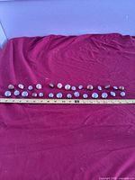 Full lot lined up beside ruler to show count and sizes