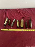 All seven spring fish scales beside ruler for size