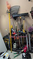Overall view of tool caddy filled with rakes, fruit picker, broom, hoses and watering cans