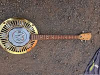 Front view of resonator guitar showing brass coverplate and chrome hub