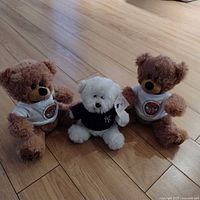 Group shot of three teddy bears displaying size, colors and shirts
