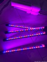 Four red/blue LED bars illuminated plus cylindrical lamp visible