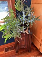 Full view of antique cabinet with star fern plant on top