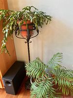Full view of black metal plant stand with terracotta potted Christmas Cactus on top and small palm in Seagfom pot at base