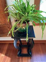Full view of black wooden pedestal stand with ceramic pot and fern plant on top