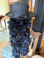 Hat resting on hanger with feather boa draped below