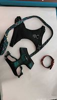 Top view of the two harnesses (black mesh and green/black) with tartan leash and red leather collar laid out on white surface.