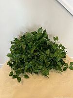 Artificial green leafy hanging greenery placed on a beige surface against a light wall.