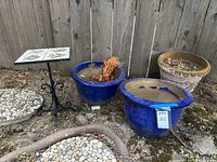Outdoor photo showing three garden pots and one small square tile topped metal table with wrought iron legs against wood fence background.