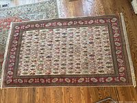Full view of the rectangular area rug showing intricate traditional pattern with cream, red, and green colors and fringed edges.