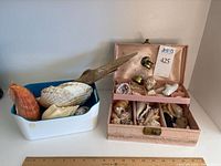 Wide shot showing white and blue trays with large seashells and piece of driftwood, pink box with various smaller shells and oil lamp