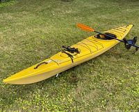 Full length view of yellow kayak on grass with paddle