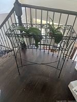 Front view of black metal plant stand holding two potted orchid plants, showing scrollwork details and plants' leaves and roots.