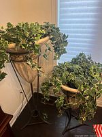 Tall cream-colored decorative planters on metal stands with cascading artificial ivy plants, positioned indoors near a window with blinds.