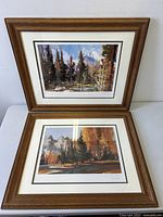 Both framed prints shown together for size, frame style and matching appearance