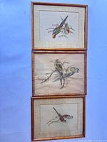 All three framed prints displayed vertically against wall