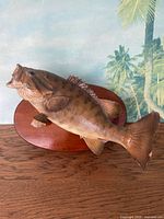 Full view of fiberglass bass mounted on oval wood plaque