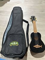 Ukulele and gig bag full view