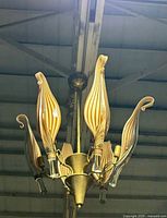 Chandelier hanging, showing six glass petals and brass hardware