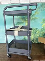 Front angled view showing three shelves, handle, casters