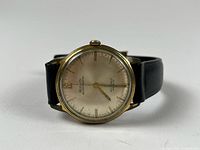 Front view of Roberta Incabloc watch showing dial, case and strap